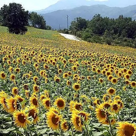 Charming Hillside Escape SantʼAgata Feltria